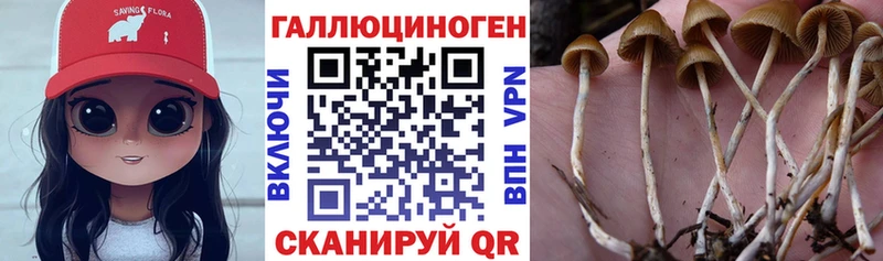 Псилоцибиновые грибы мухоморы  купить закладку  Верхняя Салда 